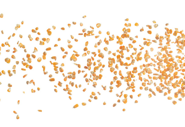 Кукурудза висушене зерно літає в повітрі. Жовта золота кукурудза падає розсіюється, вибух пливе у формі групи ліній. Білий фон ізольовані заморожування руху високошвидкісний затвор
 - Фото, зображення