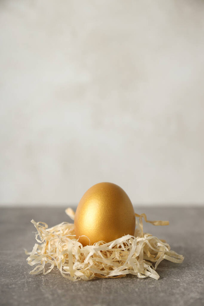 Golden egg, pension savings, investments, retirement, space for text - Photo, Image