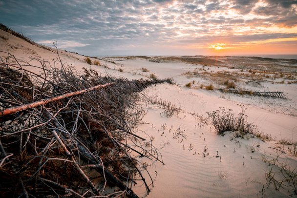 Parnidis sand dune in sunset. Curonian spit, Nida city, Lithuania. - Фото, зображення