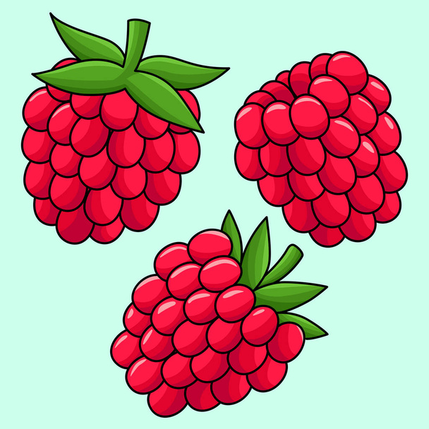This cartoon clipart shows a Raspberry Fruit illustration. - Vector, Image