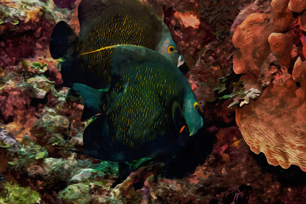 Digitally created watercolor painting of a French Angelfish swimming over a coral reef. High quality illustration - Fotografie, Obrázek