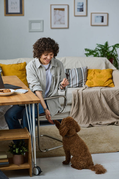 Mladá šťastná žena trénovat svého psa a hrát si s ním, zatímco sedí u stolu s notebookem - Fotografie, Obrázek