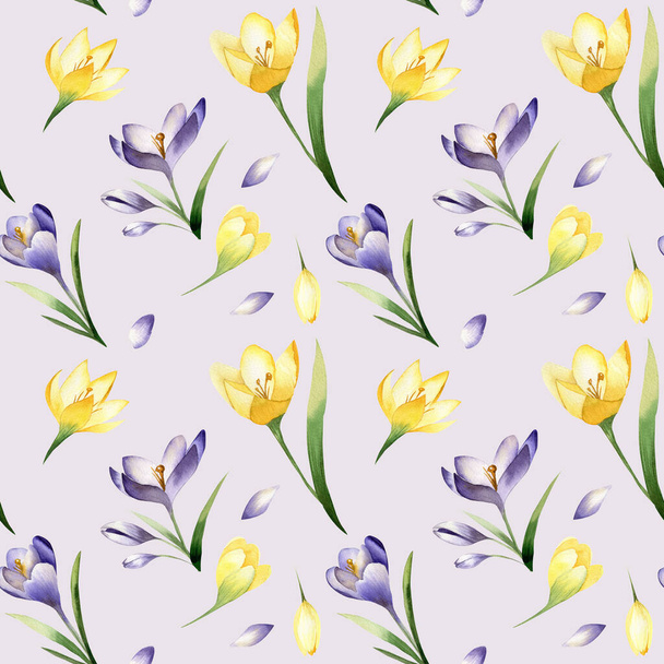 Krokus wiosenne kwiaty bezszwowy wzór na jasnym fioletowym tle. Kwiat szafranu. Fioletowe i żółte kwiaty. Projekt wiosenny - Zdjęcie, obraz