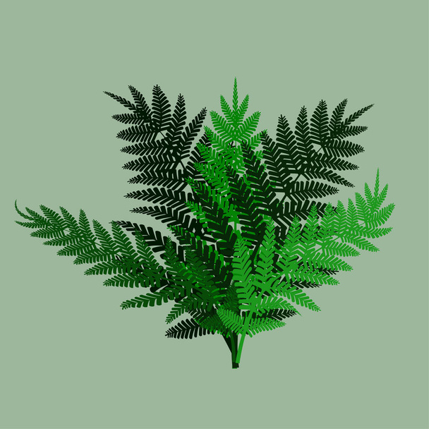Green fern, Green background. Vector illustration. EPS 10. - Vektor, obrázek