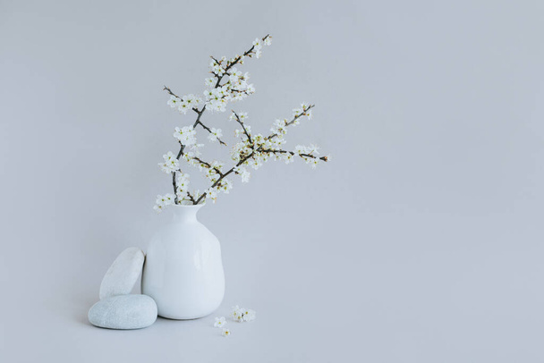 Gyönyörű virágos ágak egy fehér vázában, szürke háttérrel. Tavaszi minimalista koncepció. - Fotó, kép