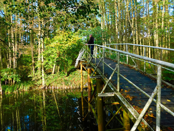 Прогулянка фазанським мостом через річку
 - Фото, зображення