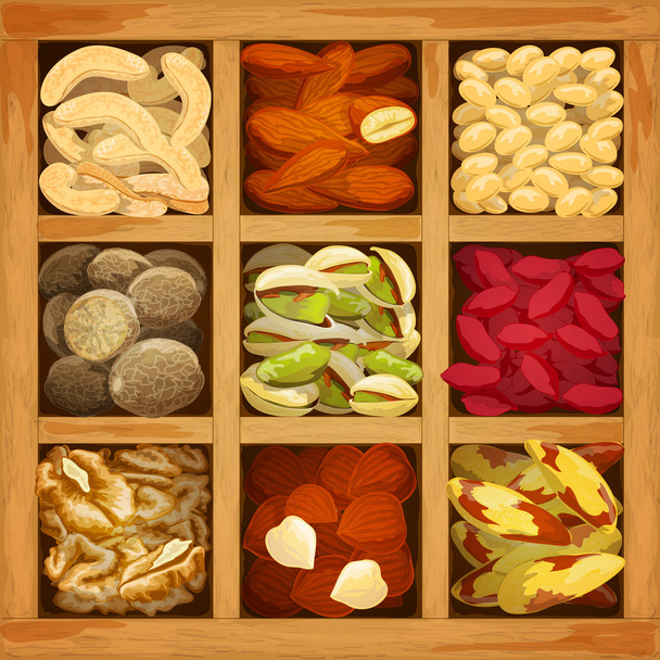 Kolekce ořechy míchané - Vektor, obrázek