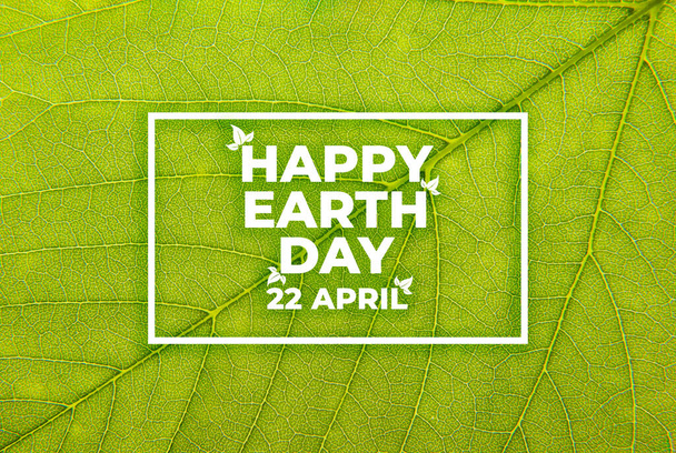 Gelukkige Aarde Dag. Milieuvriendelijk ecologisch concept. Wereldmilieu dag achtergrond. Red de aarde. Groene dag. - Foto, afbeelding