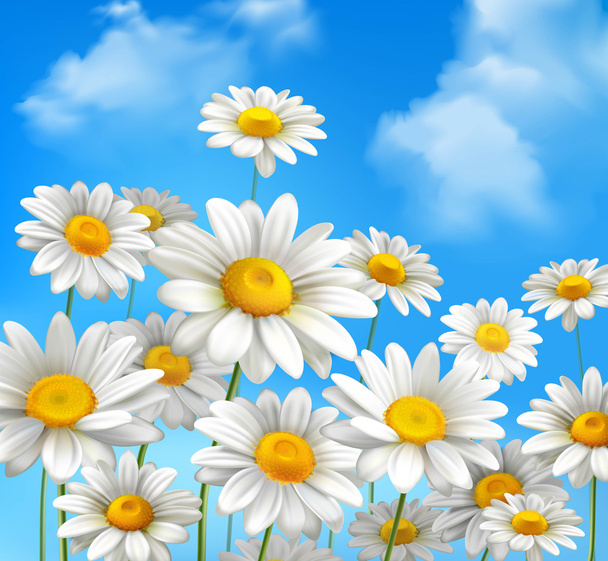 Daisies On Blue Sky - ベクター画像
