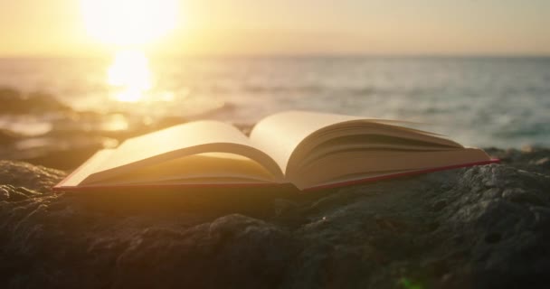 Apri il libro sulla spiaggia dell'oceano al tramonto con la luce del sole. Onde d'acqua di mare sullo sfondo. Sapienza educazione scienza concetto. - Filmati, video