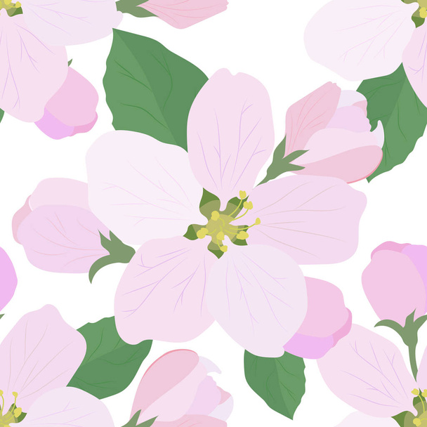 Apple blossoms with green leaves on a white background. Seamless vector pattern. - Vector, Image
