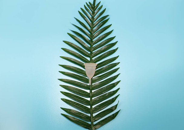 Copo menstrual de silicone em um ramo de palma verde encontra-se no centro em um fundo azul com espaço de cópia nas laterais, flat lay close up. Conceito de saúde da mulher. - Foto, Imagem