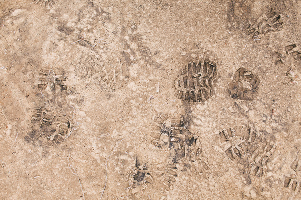 Impronte su suolo congelato
 - Foto, immagini