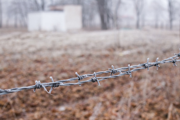 Barbed wire fence covered with hoarfrost - Photo, Image