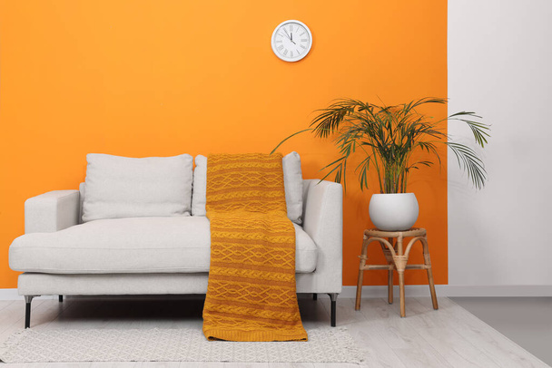 Comfortable sofa with orange blanket and houseplant indoors. Interior design - Foto, Imagem