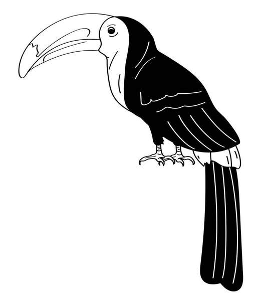 toucan animal monochrome style icon - Διάνυσμα, εικόνα