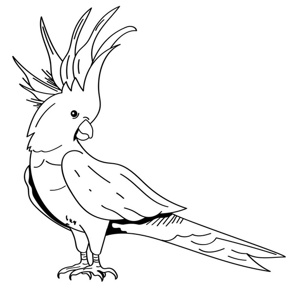 macaw animal monochrome style icon - Vector, afbeelding