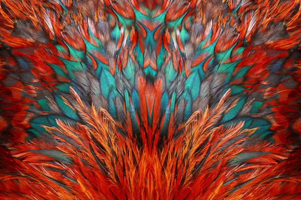 Grupo de plumas marrón brillante
 - Foto, Imagen