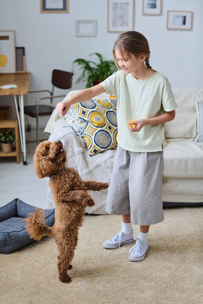 Imagen vertical de la niña dando comida a su perrito mientras la entrena en la habitación - Foto, imagen