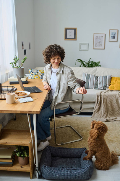 Giovane donna che gioca con il suo cagnolino mentre fa il suo lavoro online sul computer portatile a tavola nella stanza - Foto, immagini