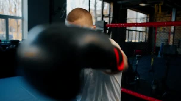 Nyrkkeily kuntosali nyrkkeilijä harjoittelee hänen lyöntejä lyömällä nyrkkeilysäkki - Materiaali, video