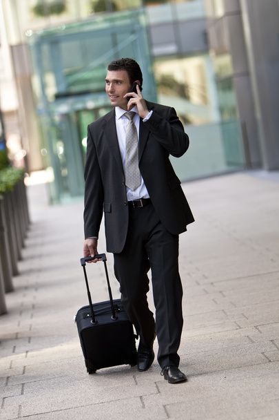 Business Traveller - Photo, Image