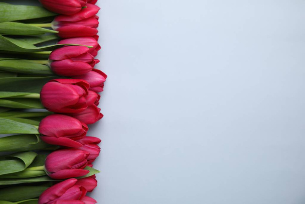 Many beautiful tulips on light grey background, flat lay. Space for text - Zdjęcie, obraz