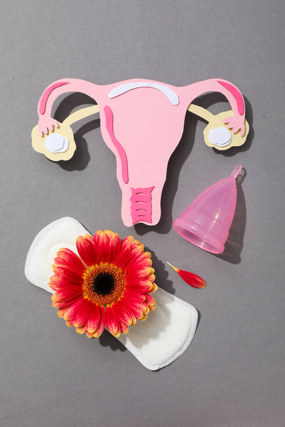 Salute delle donne e concetto di salute delle donne con l'utero - Foto, immagini
