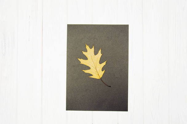 Herbst-Ahornblatt in Form von Blättern auf weißem Holzgrund - Foto, Bild