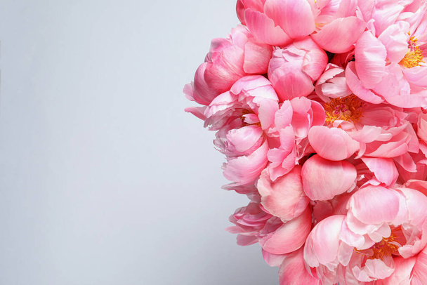 Beautiful pink peonies against white background, top view. Space for text - Foto, Imagem