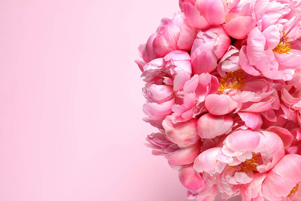 Bunch of beautiful peonies on pink background, top view. Space for text - Foto, afbeelding