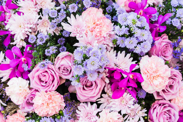 renkli doğa çiçek - Fotoğraf, Görsel