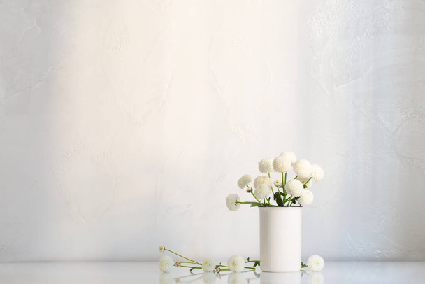 white chrysanthemums in vase on white background - Фото, зображення