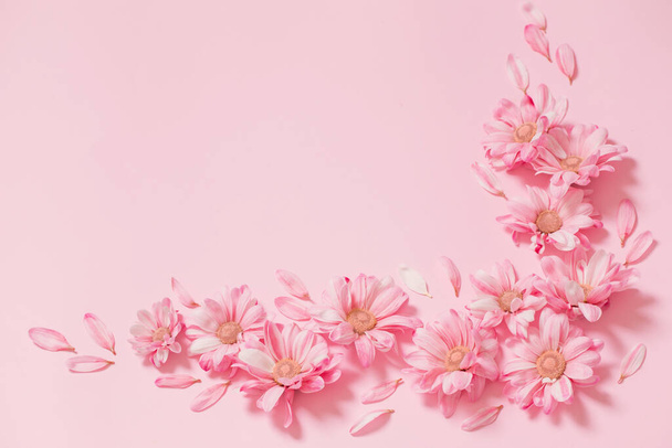 pink  and white chrysanthemums on pink background  background - Fotoğraf, Görsel