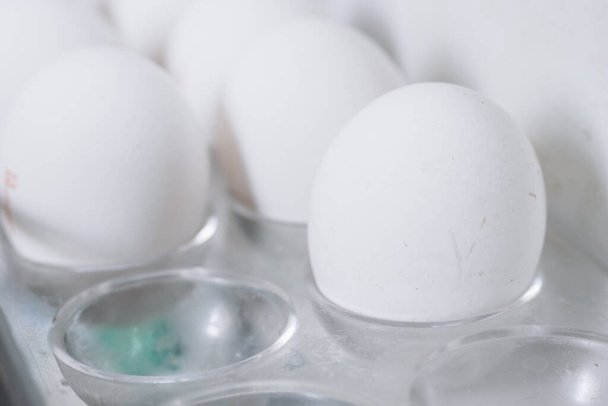 Білі курячі яйця лежать на полиці в холодильнику
 - Фото, зображення