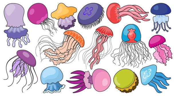 Jellyfish vector color icon. Isolated color set icons medusa.Vector illustration jellyfish on white background . - Διάνυσμα, εικόνα