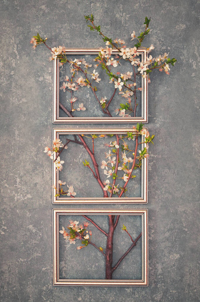 Abstract Cherry Blossoms Spring Brunch Tree Inside of Classic Frame - Photo, Image