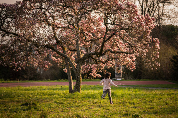 Людина в природі. Одна азіатська дівчина біжить під квітучими квітами Магнолії в сонячний день.. - Фото, зображення