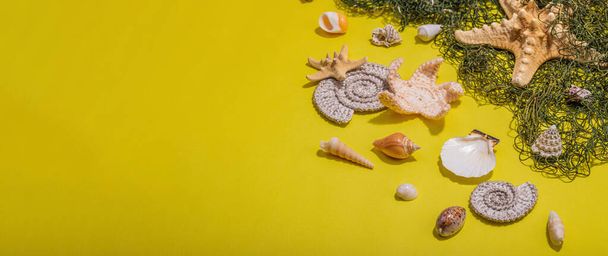 Fondo náutico amarillo con conchas marinas, estrellas de mar y red de pesca. Animales marinos variados, concepto de vacaciones. Luz dura de moda, sombra oscura, disposición plana, formato de banner - Foto, imagen