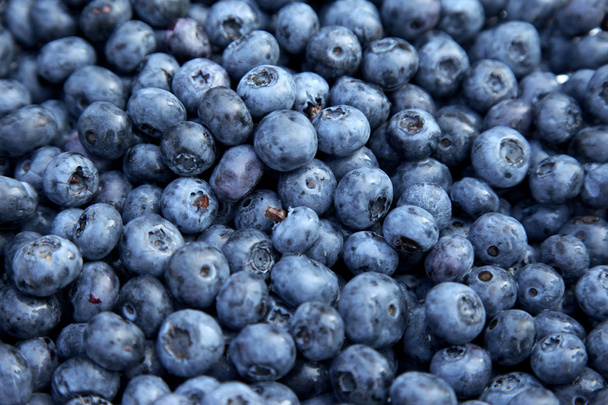 Blueberry background. Shalow DOF - Foto, Imagen