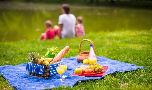 Happy family picnicking in the park - Photo, Image