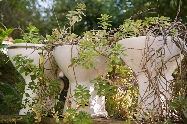Ponowne wykorzystanie i recykling: miski toaletowe jako doniczki w ogrodzie Design. - Zdjęcie, obraz