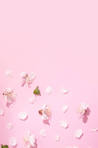 Pattern with delicate petals of cherry blossoms on a pink background. Spring vertical creative background. - Photo, Image