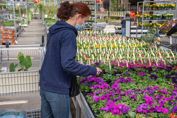 A young woman in a mask chooses and buys seedlings in a garden center with a large assortment of plants, a woman enjoys hobbies and leisure activities, growing plants and flowers in her garden - Foto, afbeelding