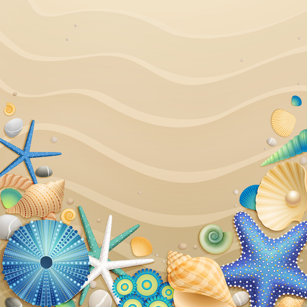 Shells and starfishes on sand background - Vector, imagen