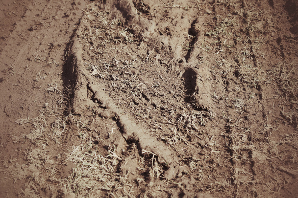 Wheel tracks on the soil. - Photo, Image