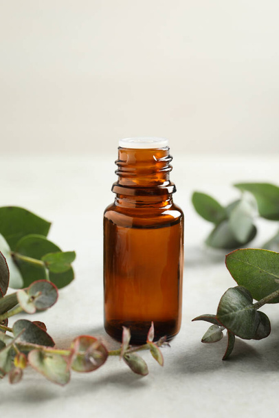 Bottle of eucalyptus essential oil and leaves on white table - Foto, afbeelding