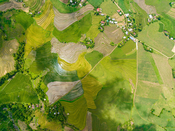 Lucht drone van huizen van boeren tussen rijstvelden en landbouwgronden. Negros, Filipijnen. - Foto, afbeelding