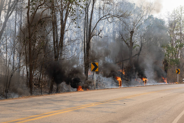 Metsäpalo lähellä moottoritien Thaimaassa. - Valokuva, kuva