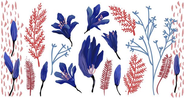 Állítsa be a virágos elemek, kék és piros virágok erőforrás. Agapanthus virágok vektorizált kék, lila és piros színekben. - Vektor, kép